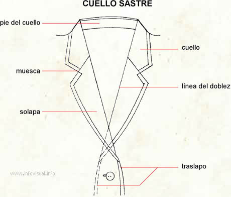 Cuello sastre (Diccionario visual)